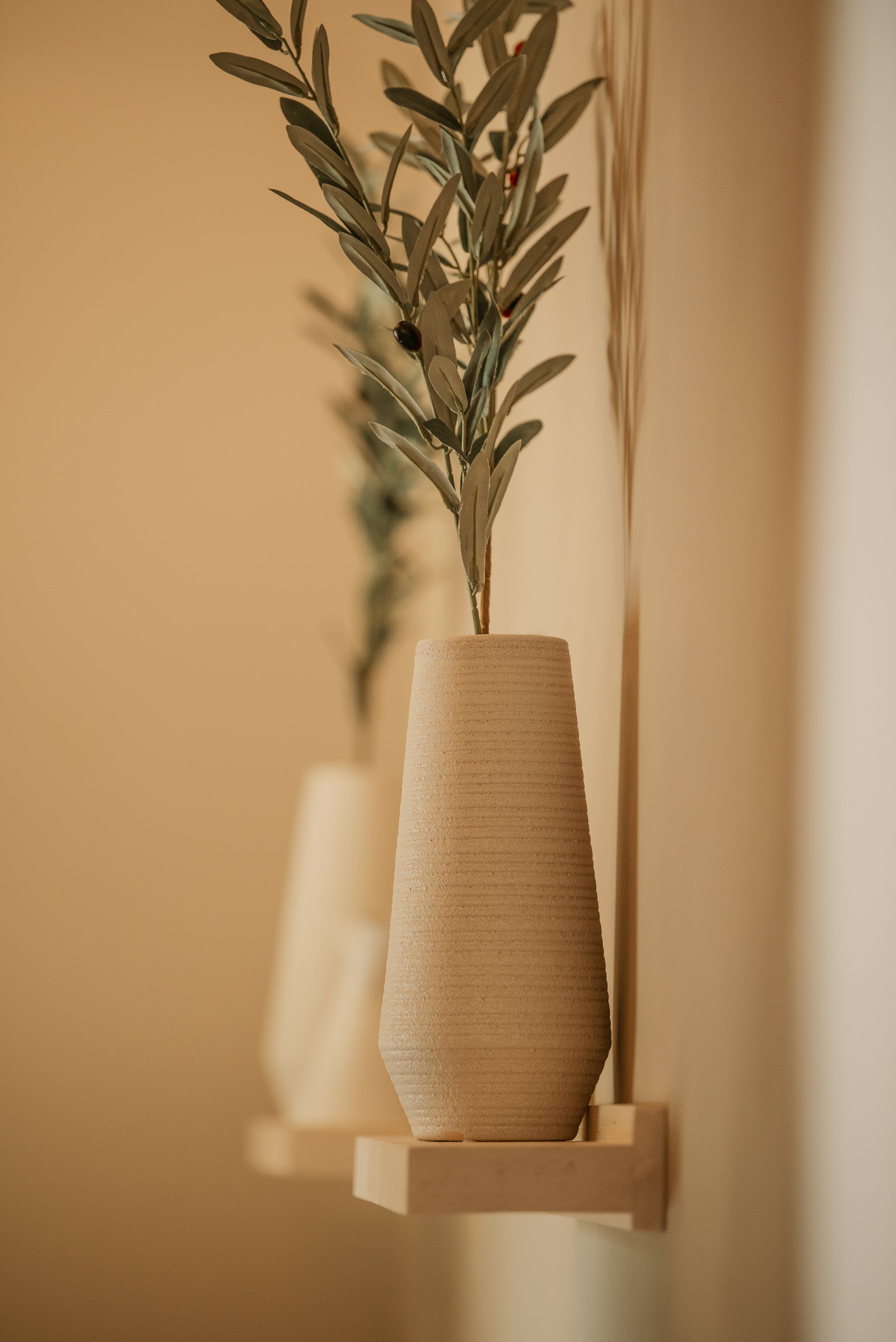 Olive branch in a ribbed vase on a wall shelf in the Esthetics With Me studio